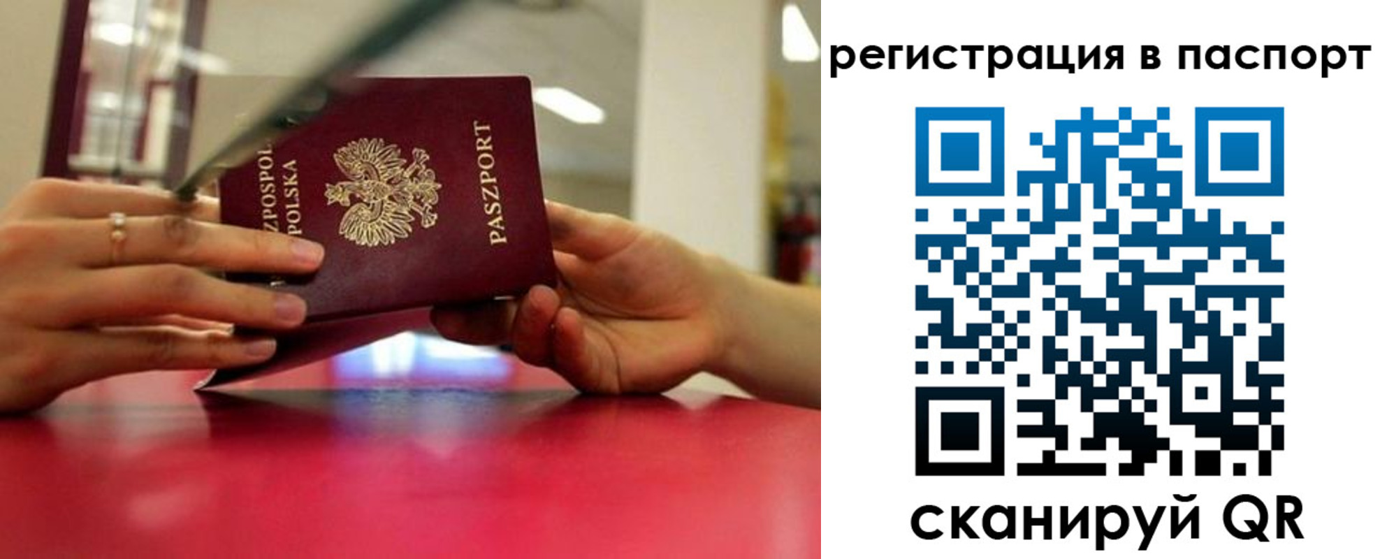 пропишу в квартире в Дубне